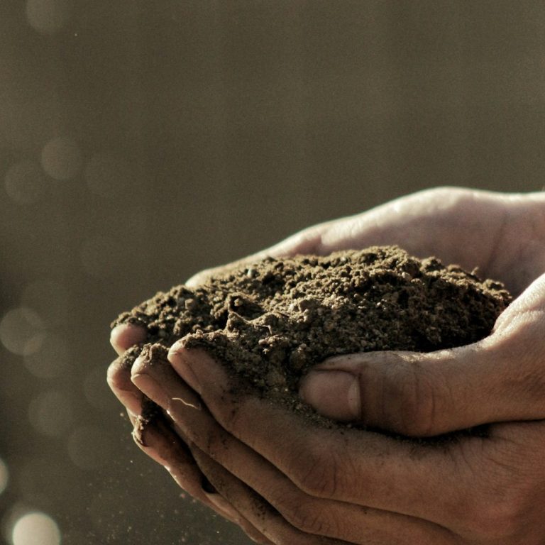 human hand holding soil from the earth